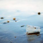 Vaso de plástico en una orilla