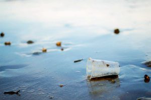 Vaso de plástico en una orilla
