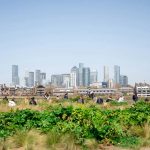 Huerto urbano con ciudad al fondo