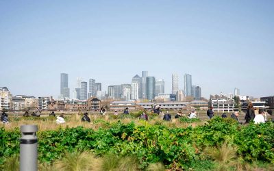 Huerto urbano con ciudad al fondo