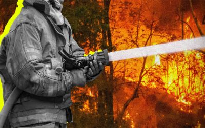 Bombero apagando un incendio forestal