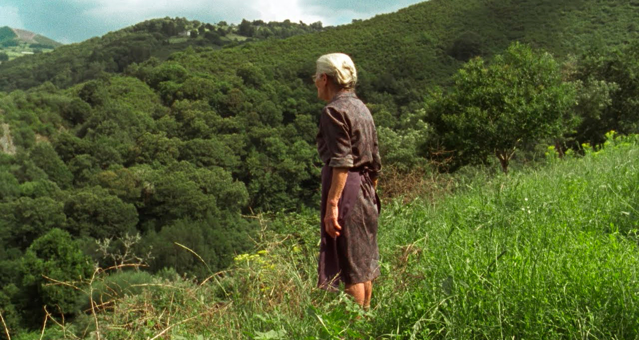 Señora contemplando el paisaje
